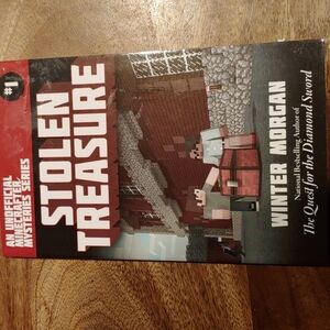 NEW Mindcraft Stolen Treasure #1 in the Series By Winter Morgan